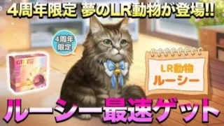 【おねがい社長】遂に4周年限定LR動物ルーシー実装!!UR動物と比較して性能チェックしちゃいます!!まさかのルーシー2匹ゲット…!?