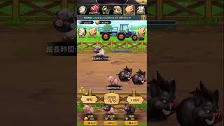 2025/11/15 おねがい社長