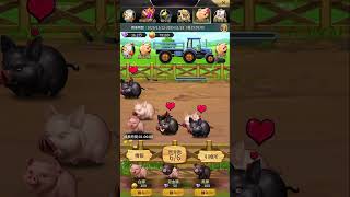 2025/11/15 おねがい社長