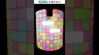 おねがい社長！　SNS広告その38