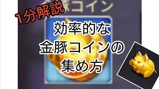効率の良い金豚コインの集め方！【おねがい社長】【豚育成】【金豚】